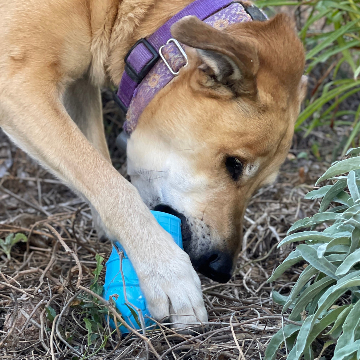 Ice Cream Cone Rubber Dog Chew Toy for Power Chewers | USA Made | SodaPup