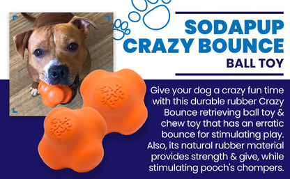 Crazy Bounce Rubber Dog Chew Toy for Power Chewers | Retrieving Ball | USA Made