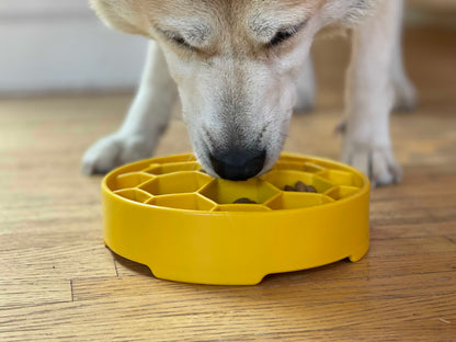 Honeycomb eBowl Deep Slow Feeder Dog Bowl for Enrichment | USA Made