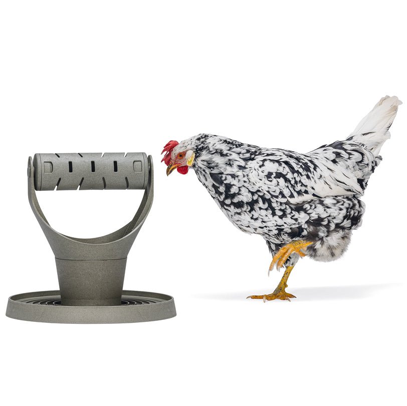 Backyard Chicken Feed Tower – Promotes Exercise and Mental Stimulation