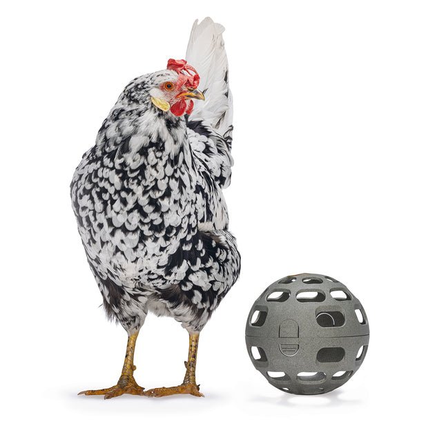 Chicken Snack Ball – 100% Recycled, Foraging & Play Feeder