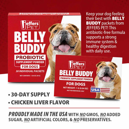 Jeffers BELLY BUDDY Probiotic Supplement Powder for Dogs – Multi-Strain Digestive & Immune Support