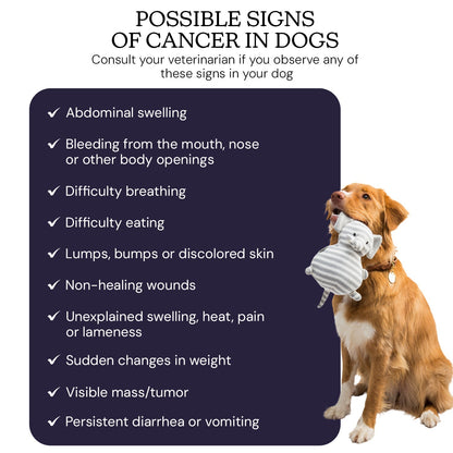 At-Home Dog Cancer Screening Test Kit