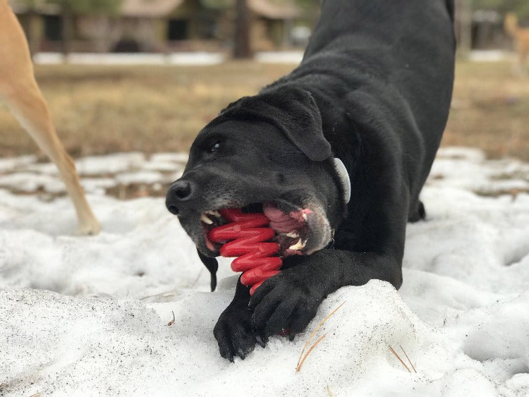 Christmas Tree Nylon Dog Chew Toy for Aggressive Chewers | USA Made & FDA Compliant